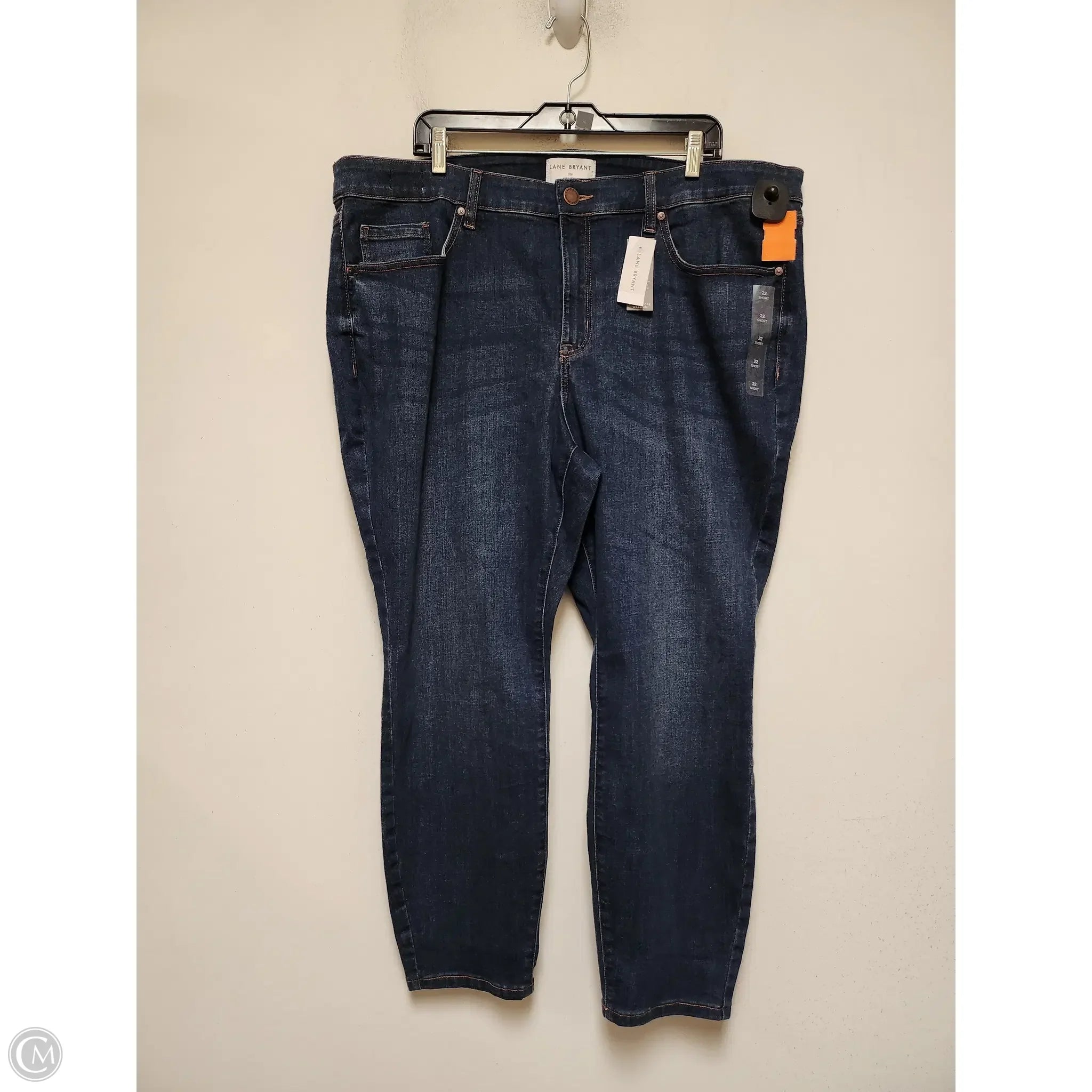 Yoked Back Men's JeansJeans Boyfriend By Lane Bryant In Blue Denim, Size: 22
